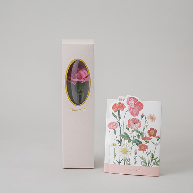クラシカルガーデンカード One Flower Box カーネーション ピンク系